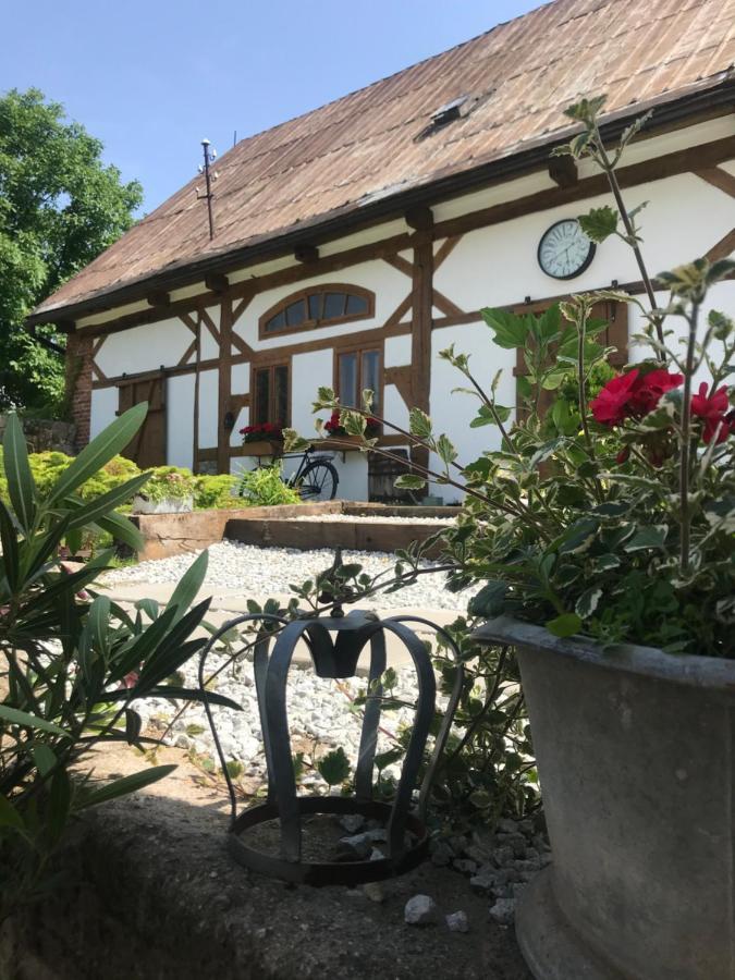 Apartamenty Sudeckie Nad Zalewem II Sosnówka Buitenkant foto
