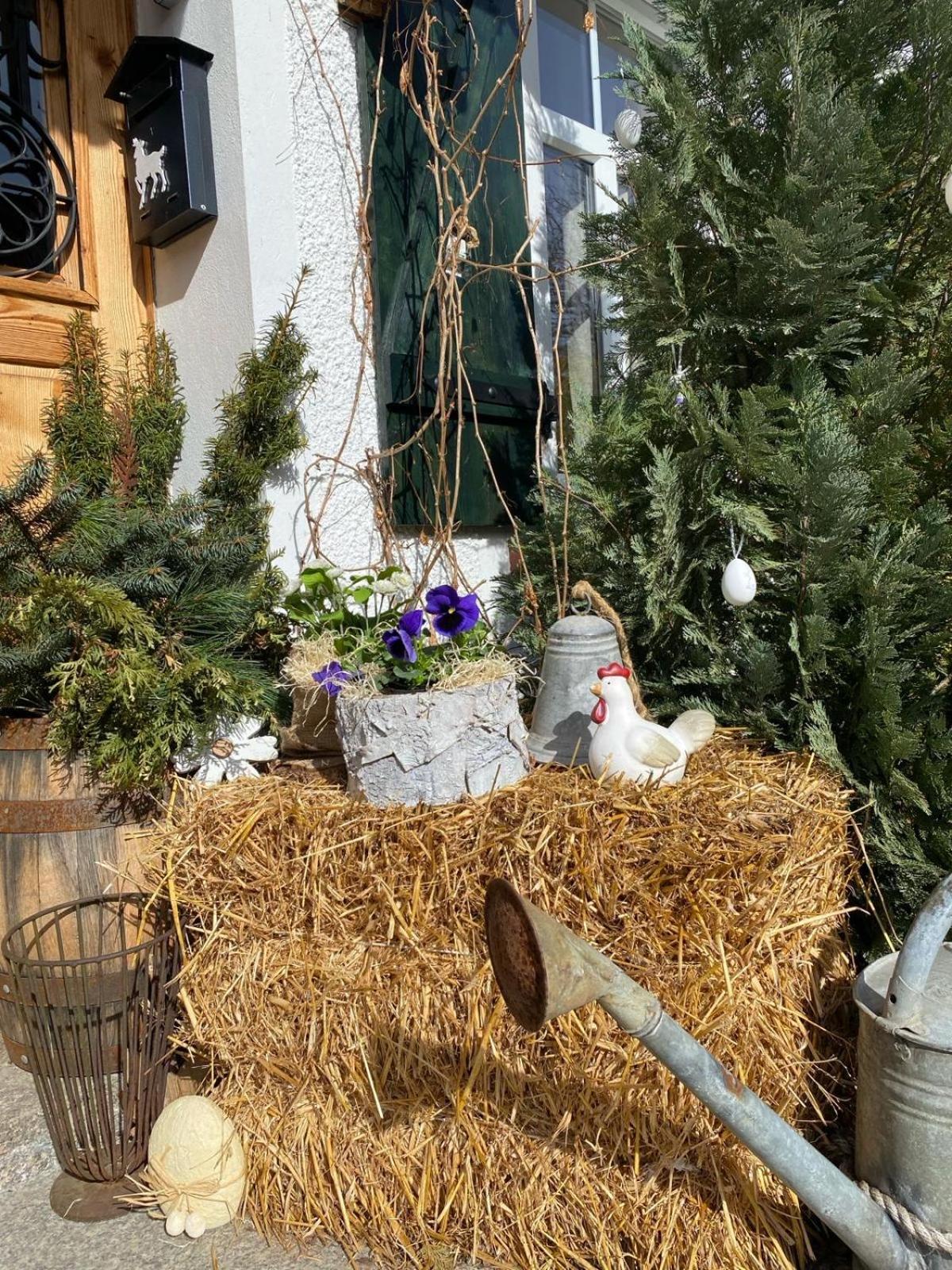Apartamenty Sudeckie Nad Zalewem II Sosnówka Buitenkant foto